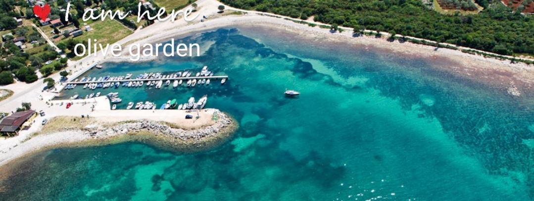 וודניאן Apartment Olive Garden מראה חיצוני תמונה